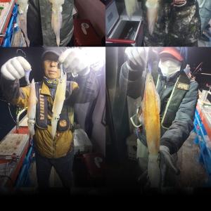 조황, [통영만선피싱] 26년 첫출항다녀왔습니다~* 기대에 부푼마음과 달리 아쉬운조황이네요,, 5월 1일 금요일부터 쭉 출조합니다 예약문의주세요^^*
