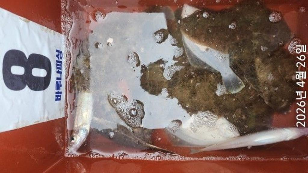 낚시뚜,도다리,속천항(진해),바루나피싱,낚시뚜4