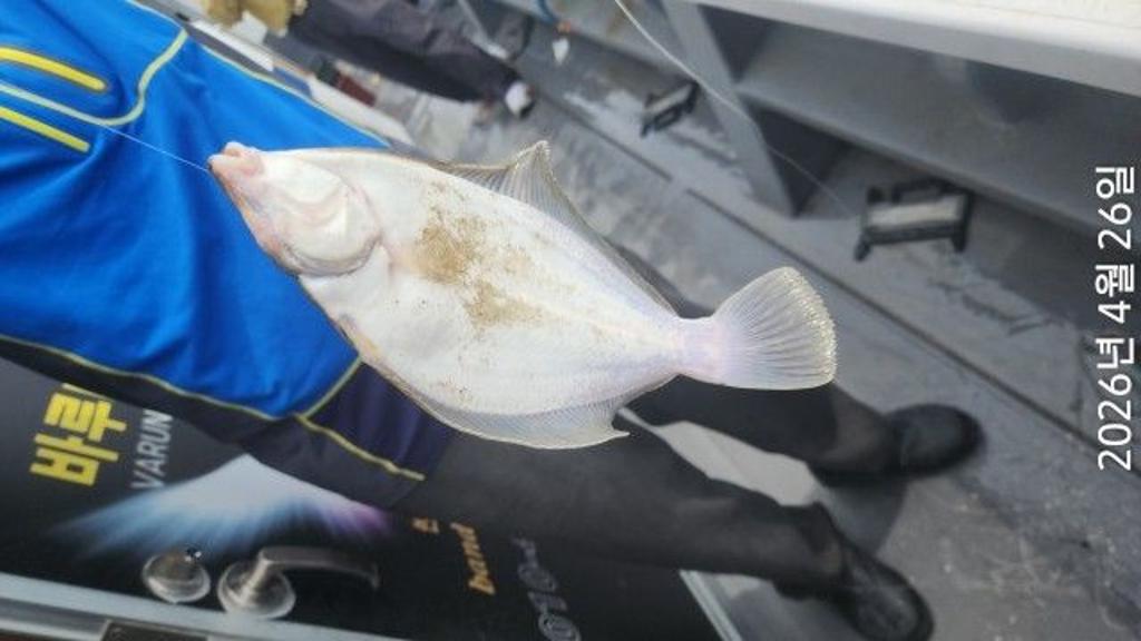 낚시뚜,도다리,속천항(진해),바루나피싱,낚시뚜2