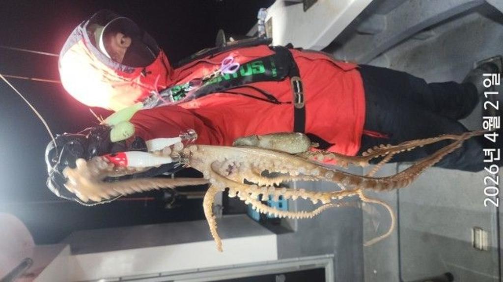 낚시뚜,도다리,속천항(진해),바루나피싱,낚시뚜1