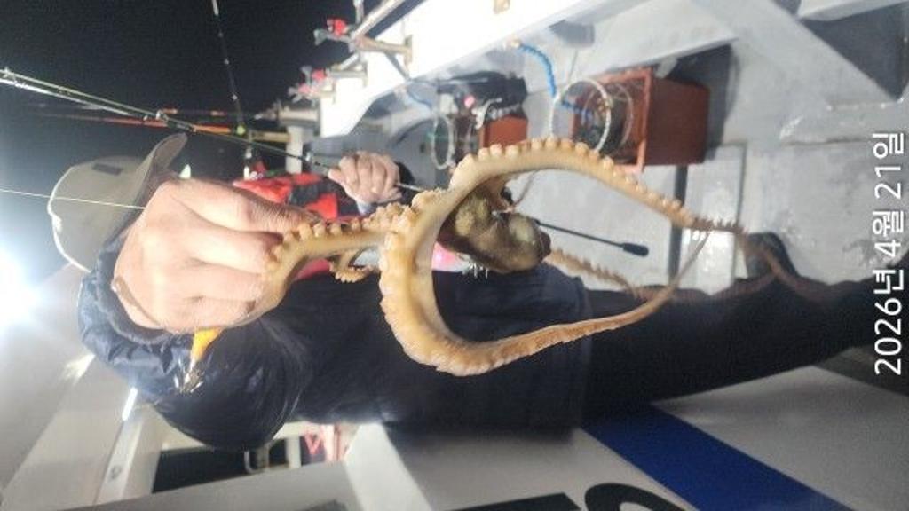 낚시뚜,도다리,속천항(진해),바루나피싱,낚시뚜0