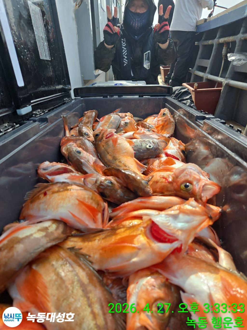낚시뚜,열기,우럭,녹동항,녹동대성호,낚시뚜17