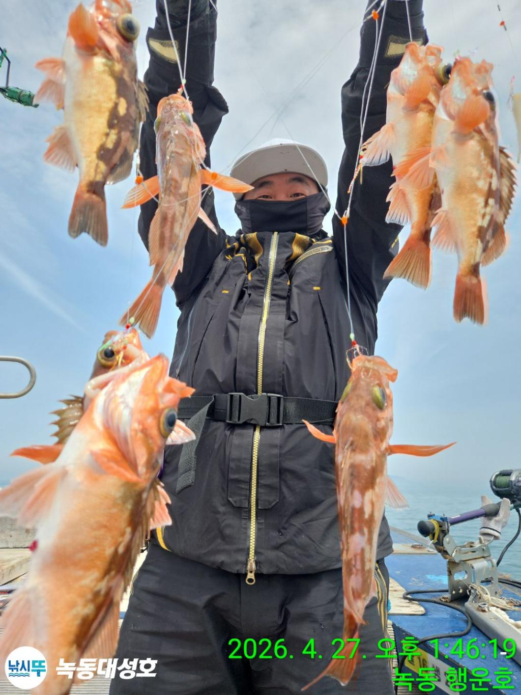 낚시뚜,열기,우럭,녹동항,녹동대성호,낚시뚜12