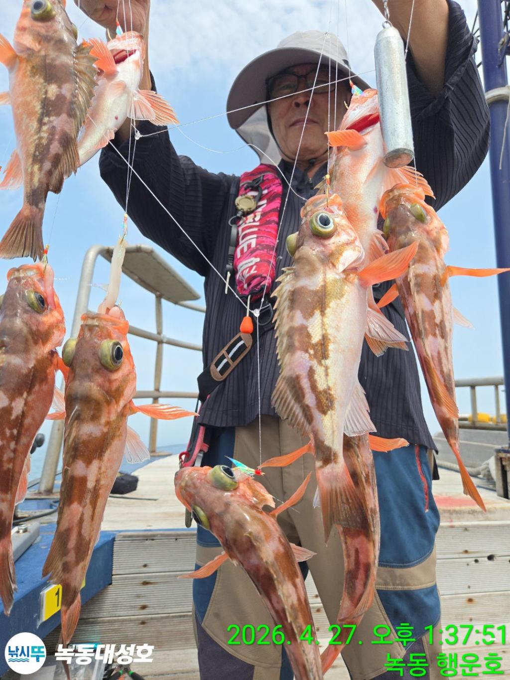 낚시뚜,열기,우럭,녹동항,녹동대성호,낚시뚜10
