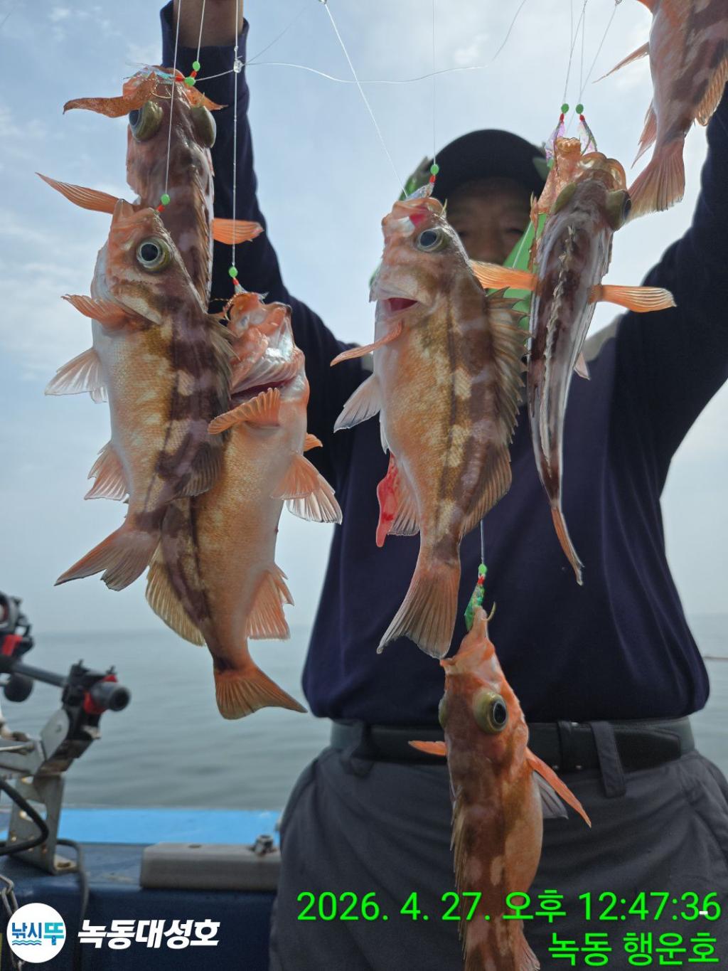 낚시뚜,열기,우럭,녹동항,녹동대성호,낚시뚜7