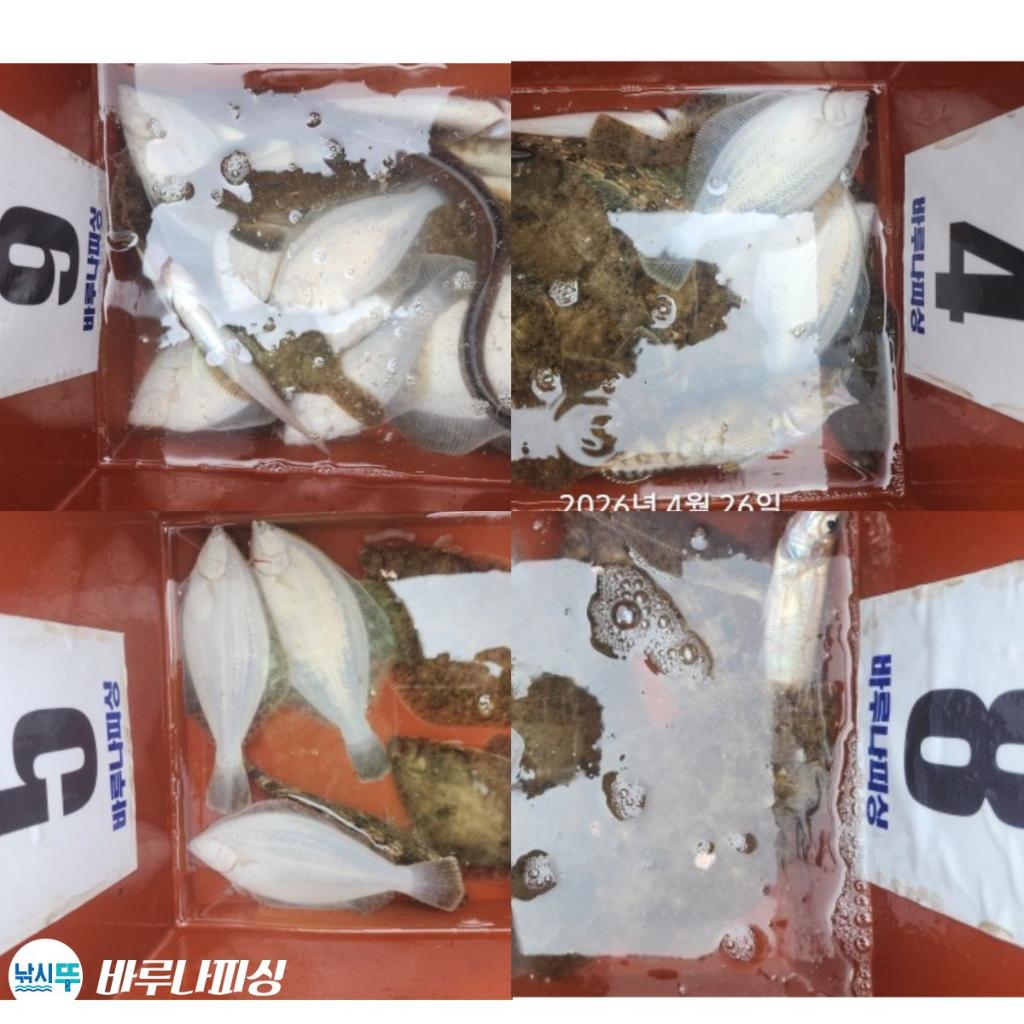 낚시뚜,도다리,속천항(진해),바루나피싱,낚시뚜1