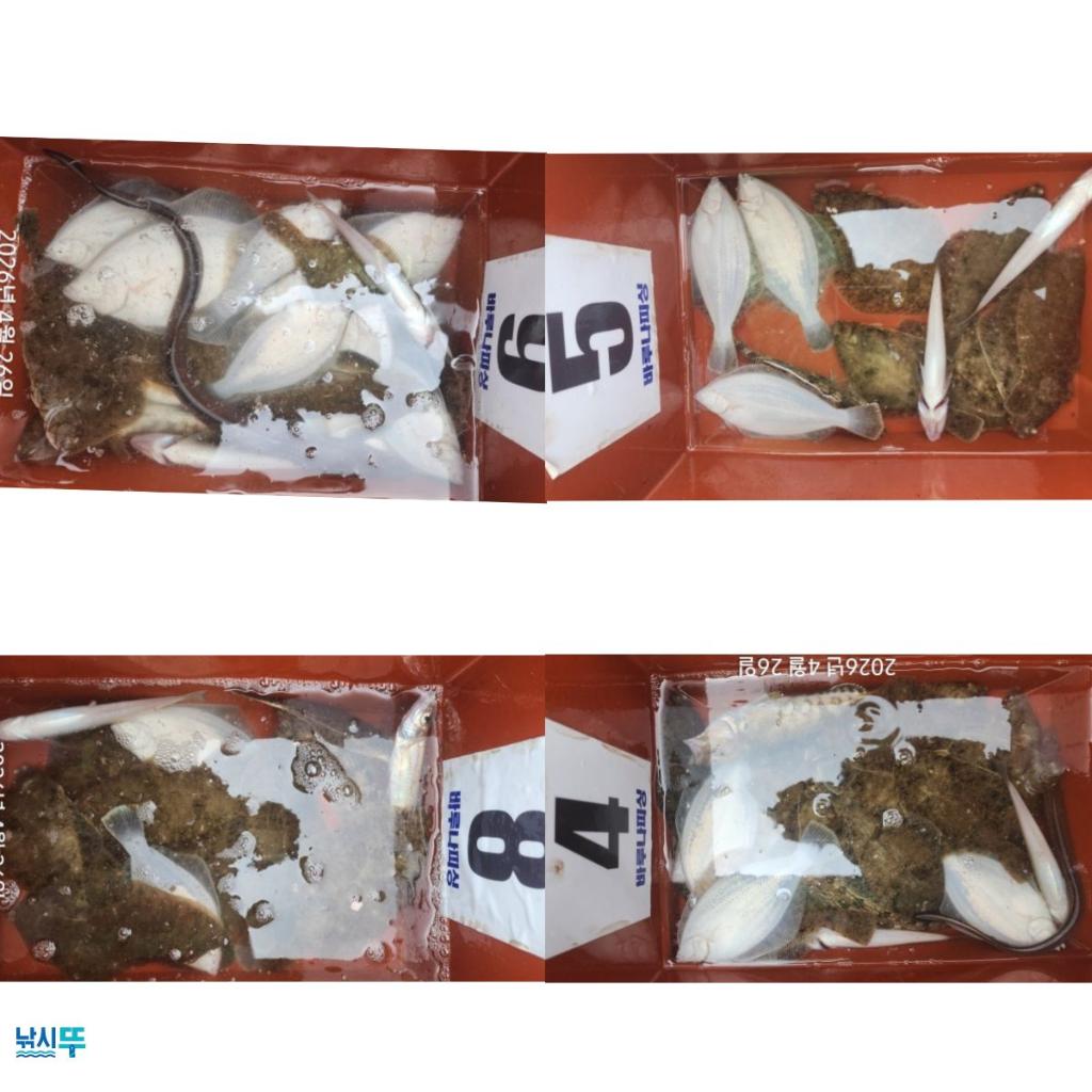 낚시뚜,도다리,속천항(진해),바루나피싱,낚시뚜0