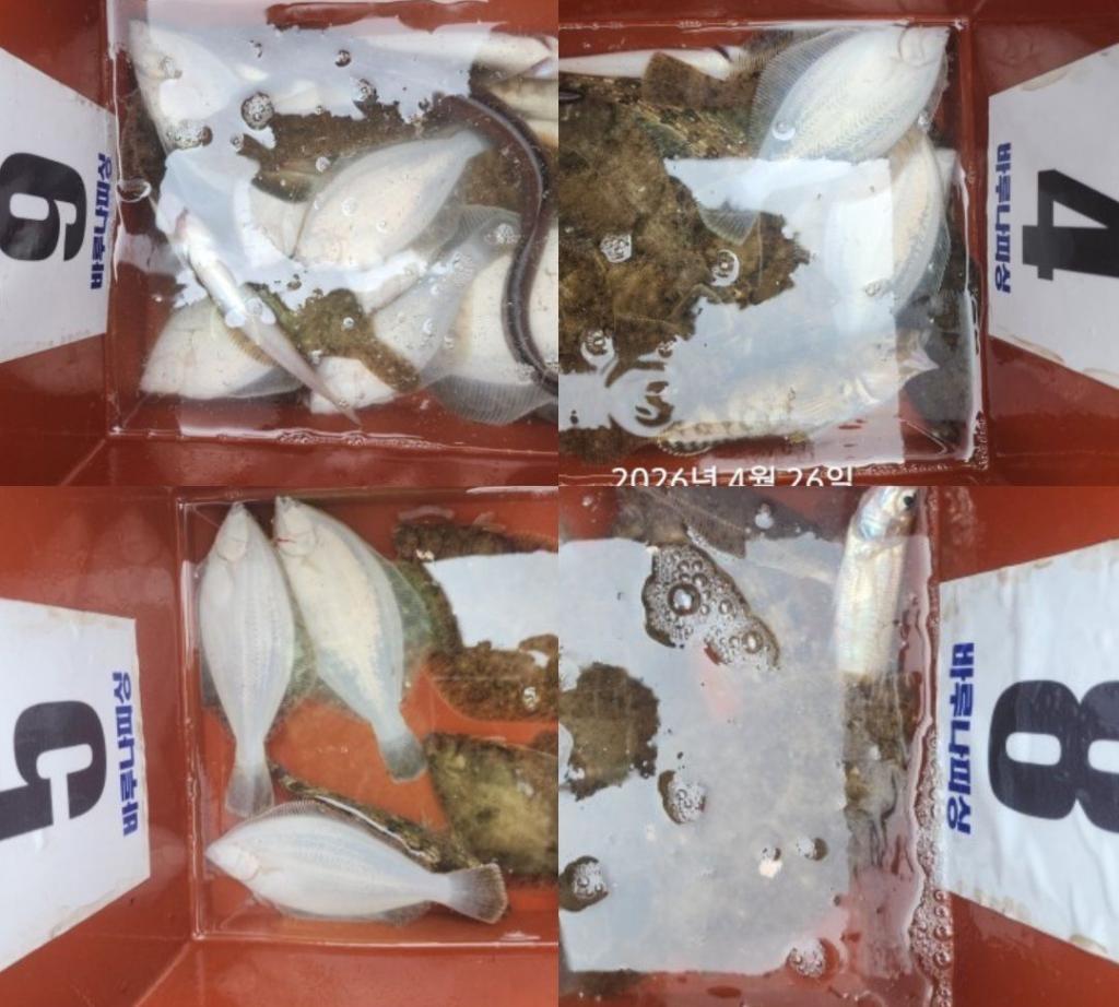 낚시뚜,도다리,속천항(진해),바루나피싱,낚시뚜6