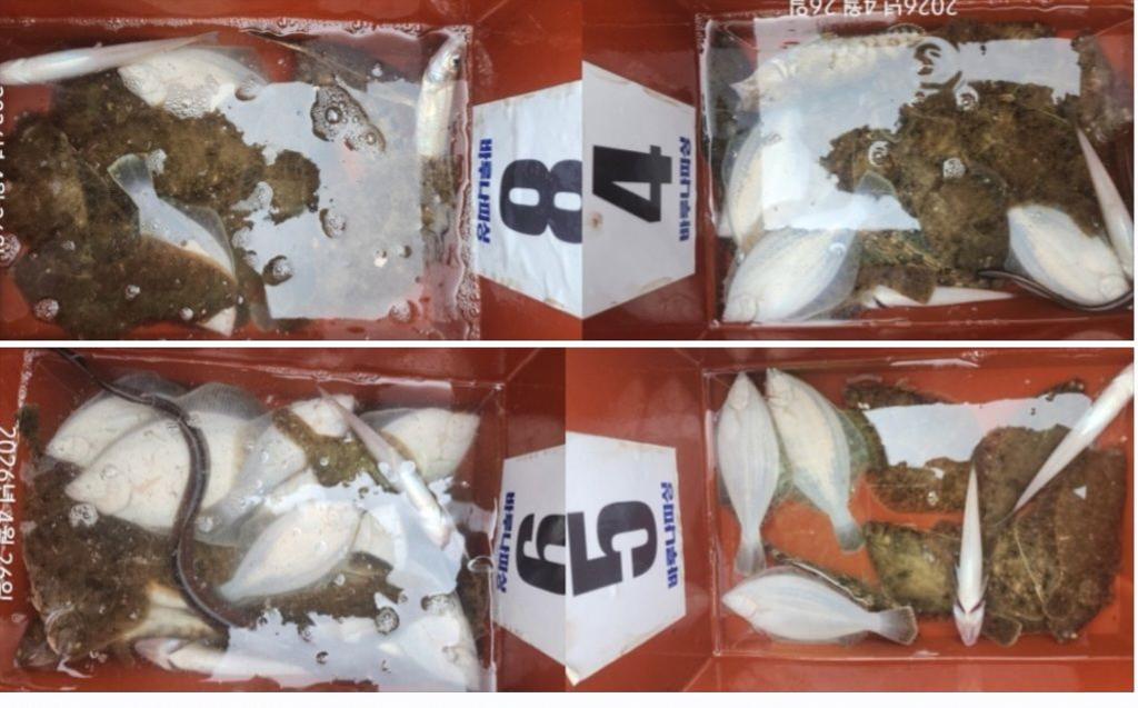 낚시뚜,도다리,속천항(진해),바루나피싱,낚시뚜5