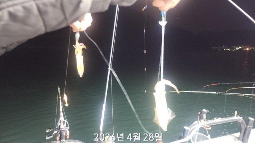 낚시뚜,호래기,속천항(진해),바루나피싱,낚시뚜0