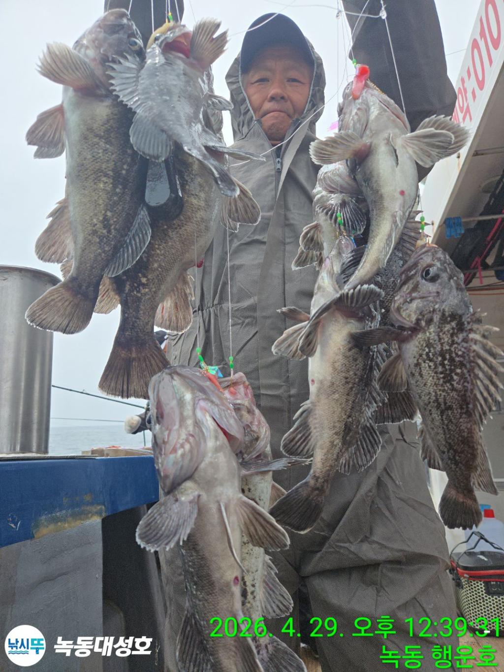 낚시뚜,우럭,열기,녹동항,녹동대성호,낚시뚜15