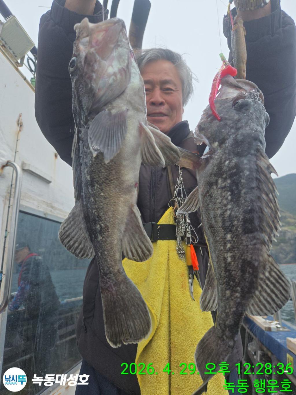 낚시뚜,우럭,열기,녹동항,녹동대성호,낚시뚜11