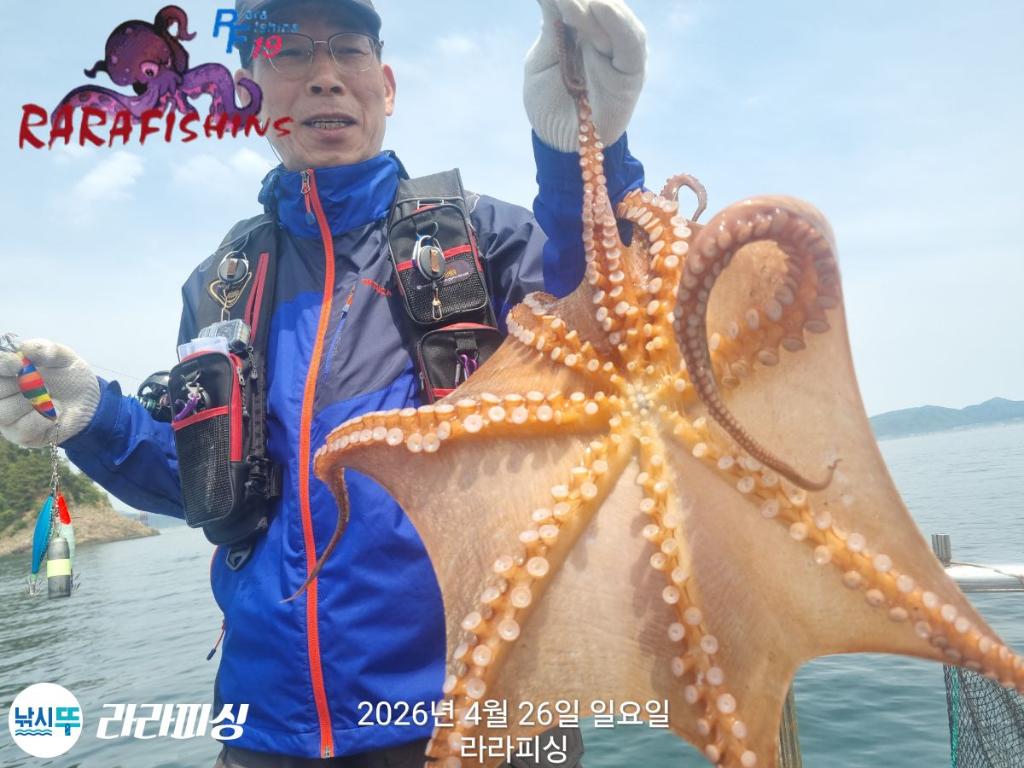 낚시뚜,호래기,돌문어,속천항(진해),라라피싱,낚시뚜19