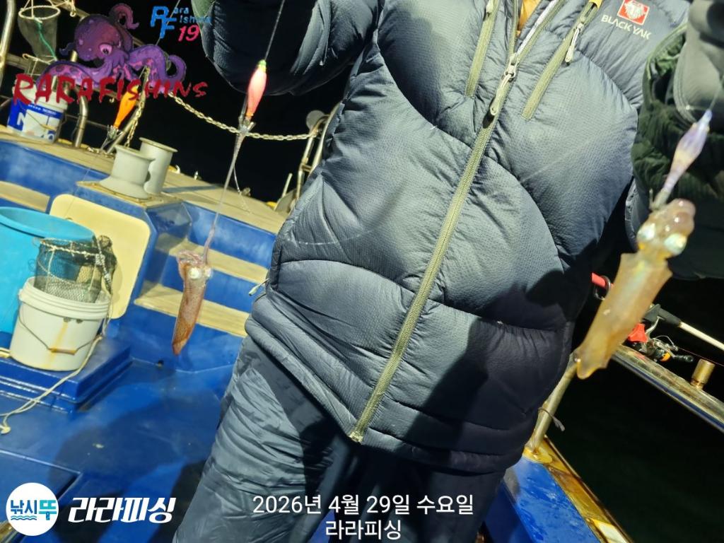 낚시뚜,호래기,돌문어,속천항(진해),라라피싱,낚시뚜8