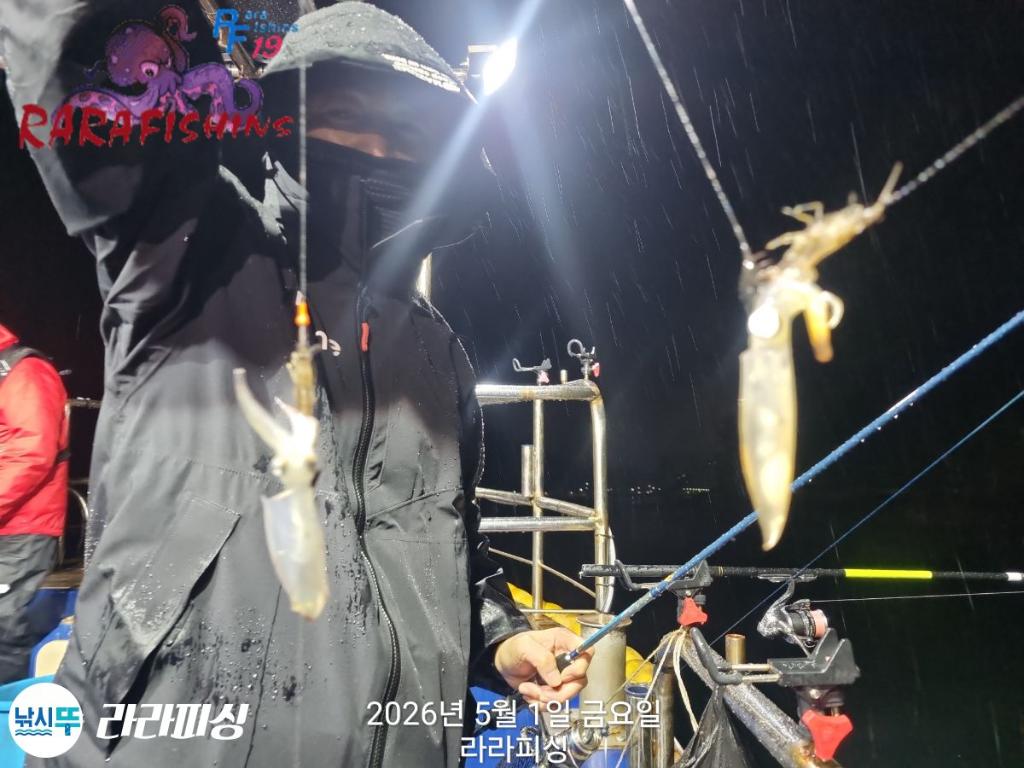 낚시뚜,호래기,돌문어,속천항(진해),라라피싱,낚시뚜2