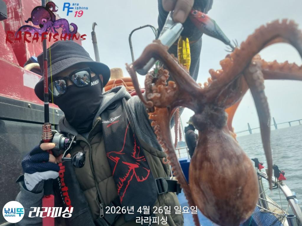 낚시뚜,낙지,돌문어,속천항(진해),라라피싱,낚시뚜12