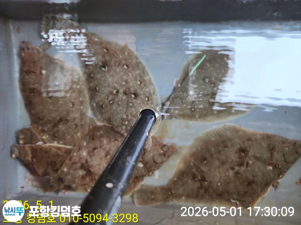 낚시뚜,도다리,영일만항,포항 킹덤호,낚시뚜33