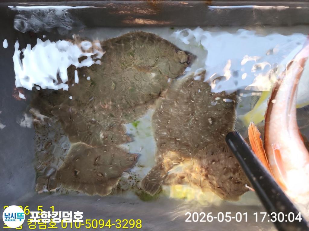 낚시뚜,도다리,영일만항,포항 킹덤호,낚시뚜32