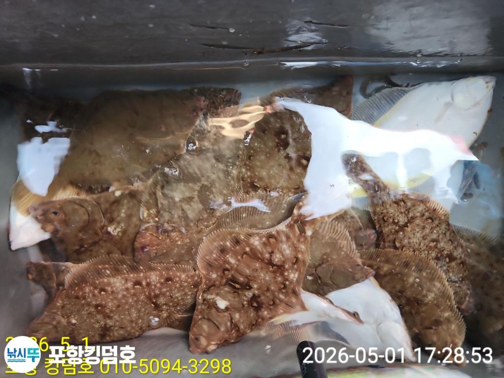 낚시뚜,도다리,영일만항,포항 킹덤호,낚시뚜28
