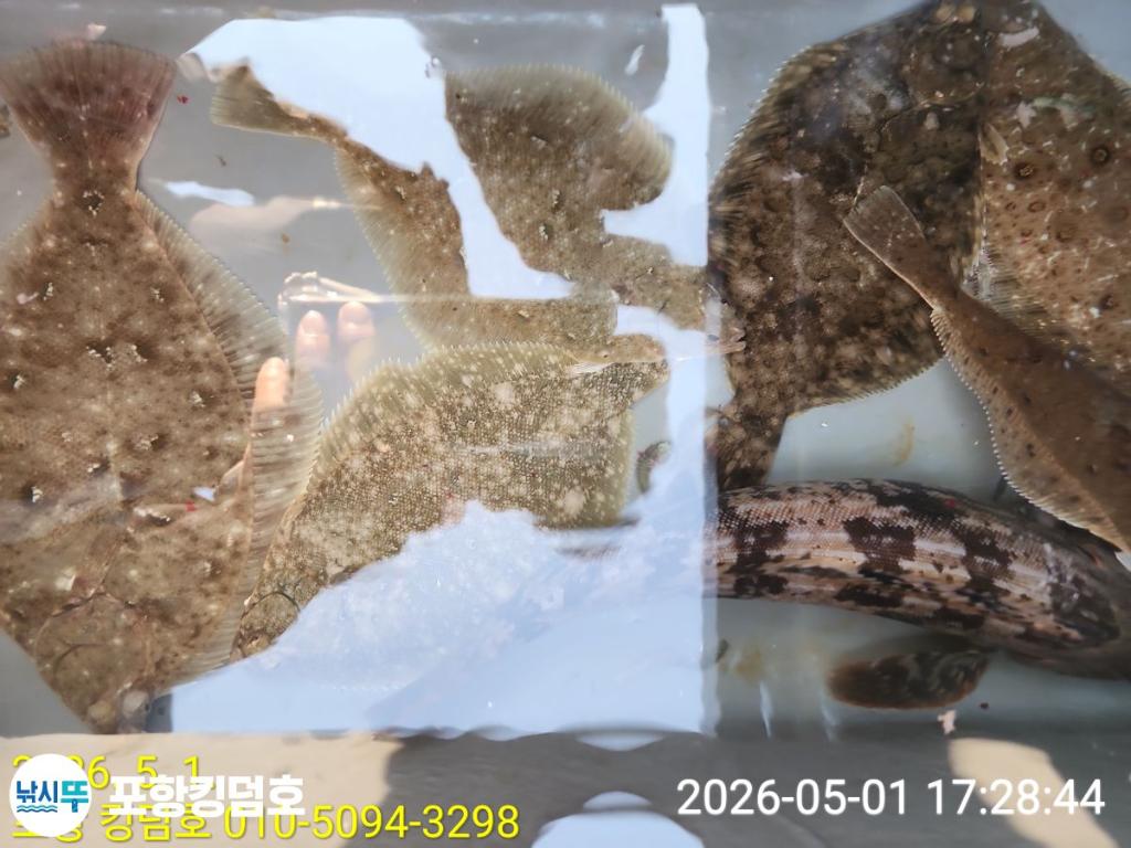 낚시뚜,도다리,영일만항,포항 킹덤호,낚시뚜27