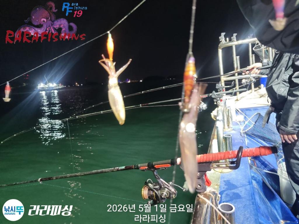 낚시뚜,호래기,속천항(진해),라라피싱,낚시뚜10