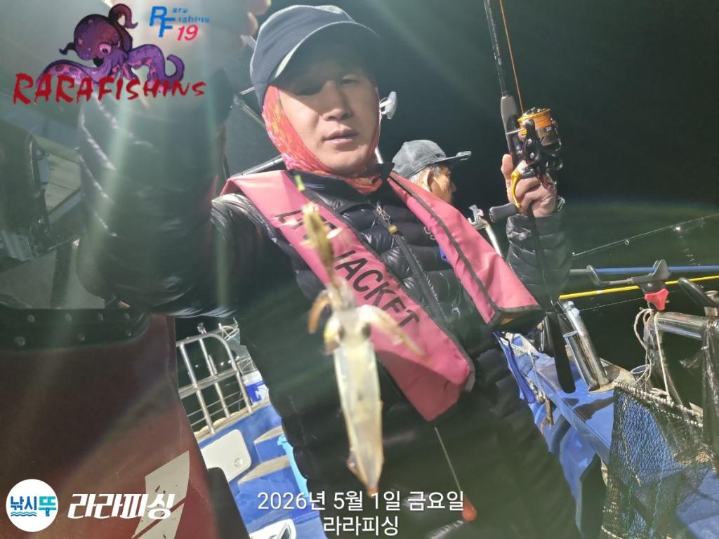 낚시뚜,호래기,속천항(진해),라라피싱,낚시뚜7