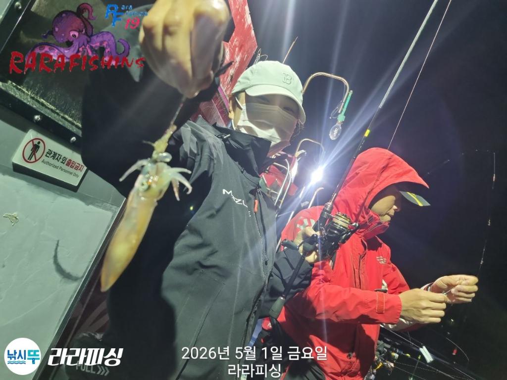 낚시뚜,호래기,속천항(진해),라라피싱,낚시뚜4