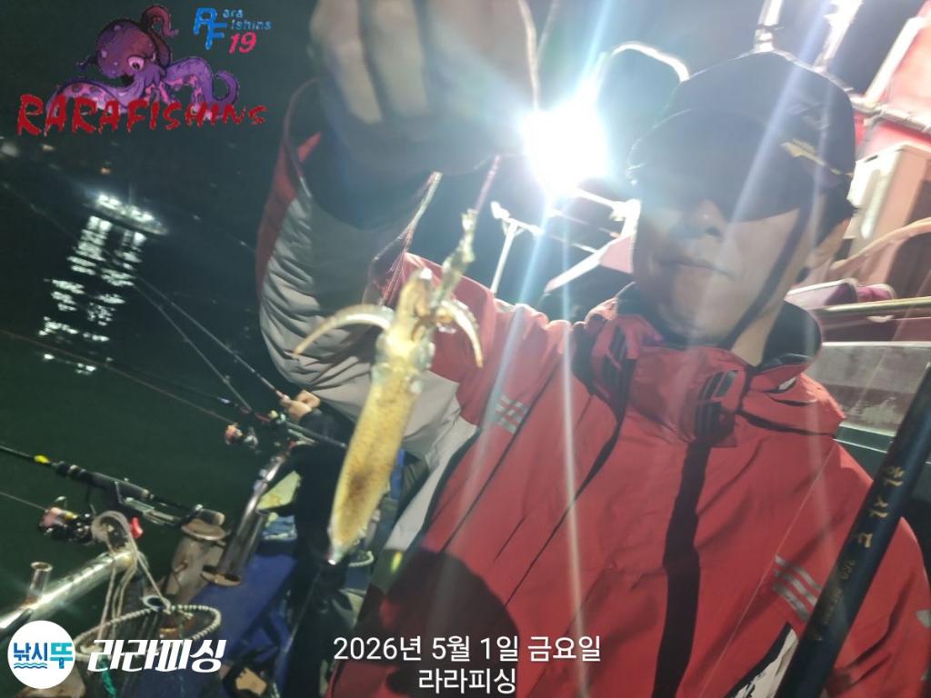 낚시뚜,호래기,속천항(진해),라라피싱,낚시뚜11