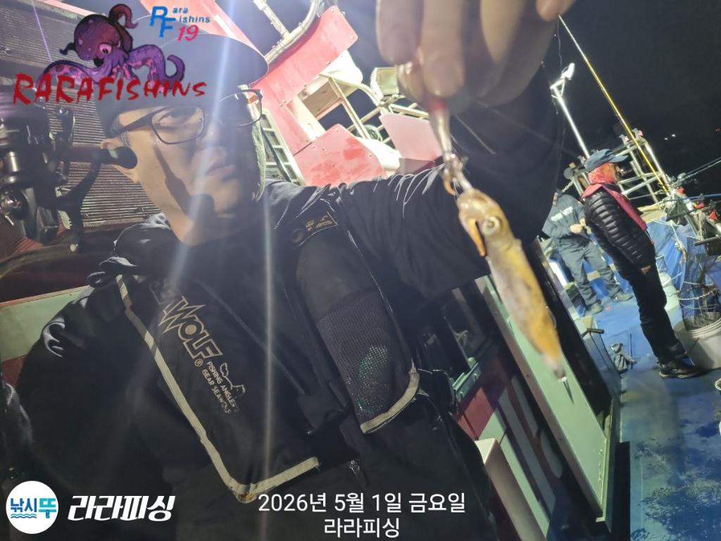 낚시뚜,호래기,속천항(진해),라라피싱,낚시뚜7