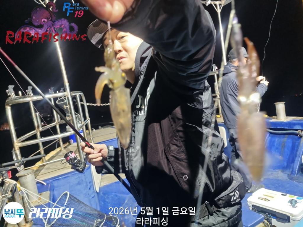 낚시뚜,호래기,속천항(진해),라라피싱,낚시뚜6