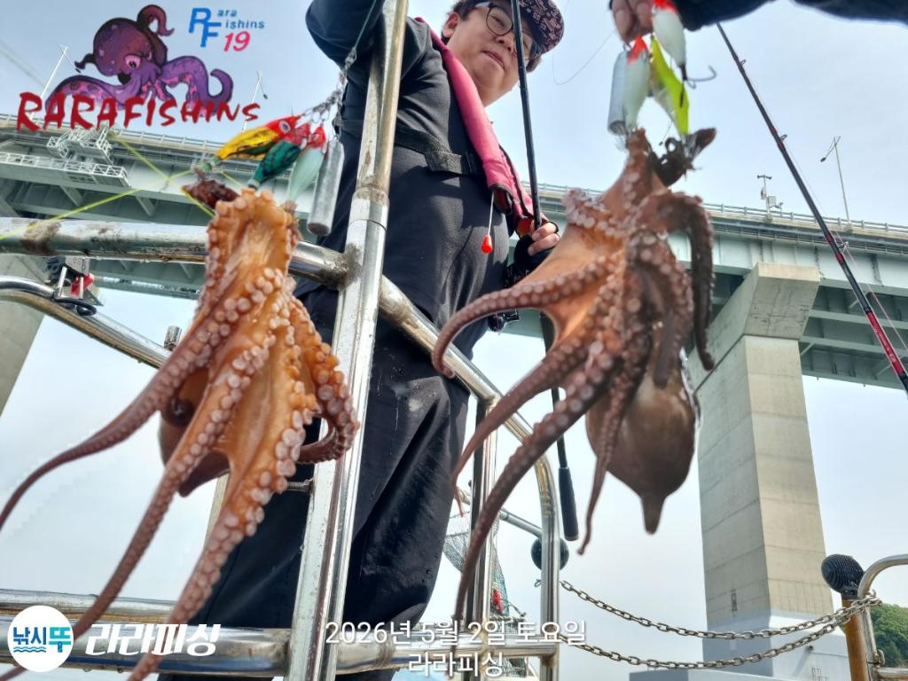 낚시뚜,호래기,돌문어,속천항(진해),라라피싱,낚시뚜20