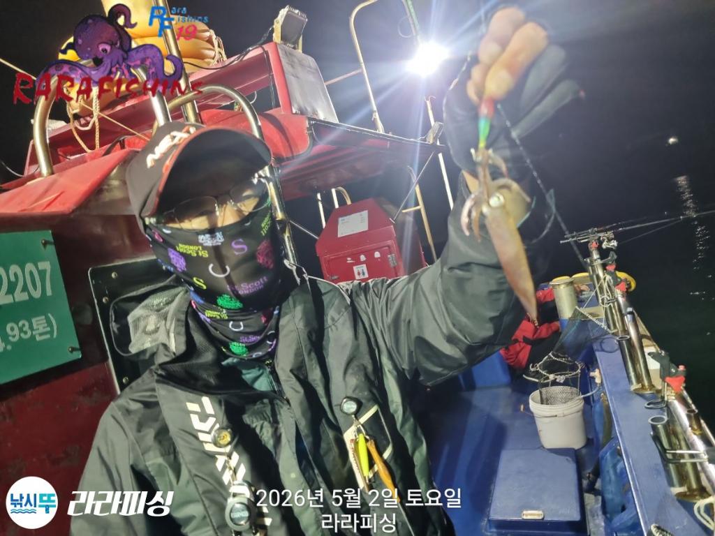 낚시뚜,호래기,돌문어,속천항(진해),라라피싱,낚시뚜3