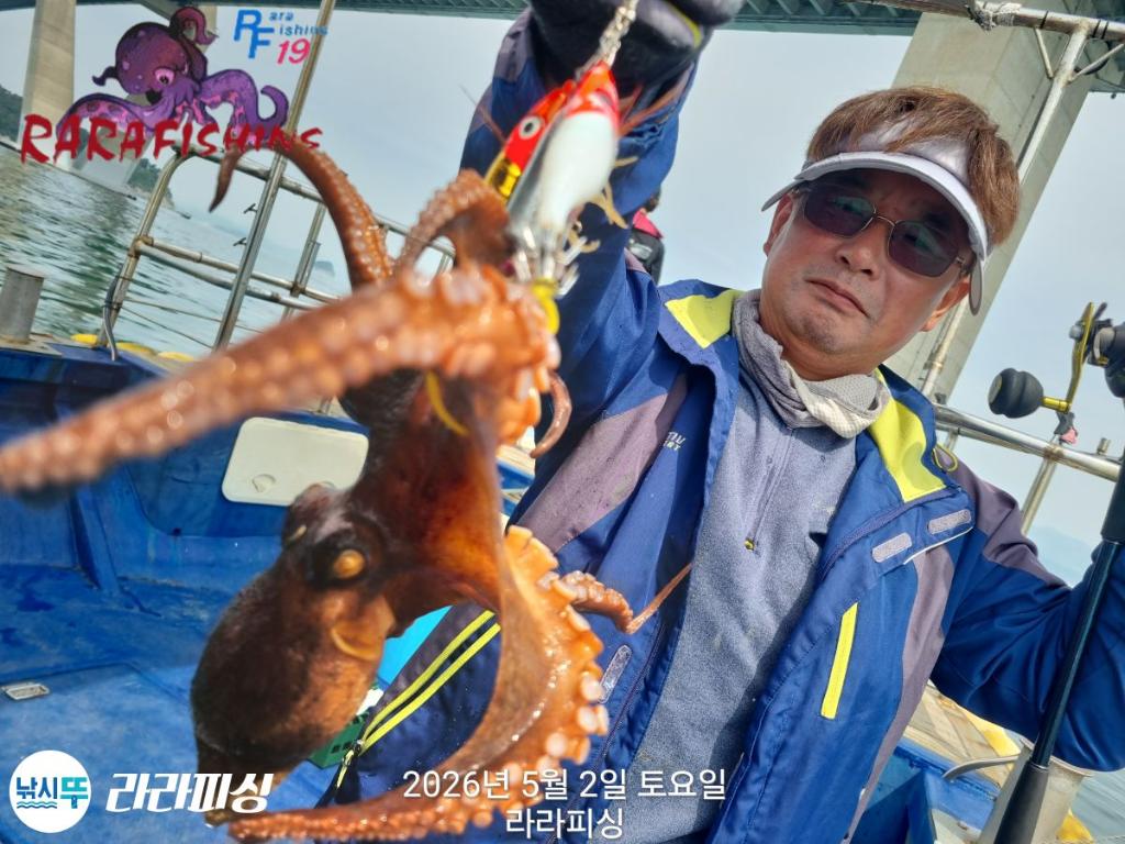 낚시뚜,낙지,돌문어,속천항(진해),라라피싱,낚시뚜18