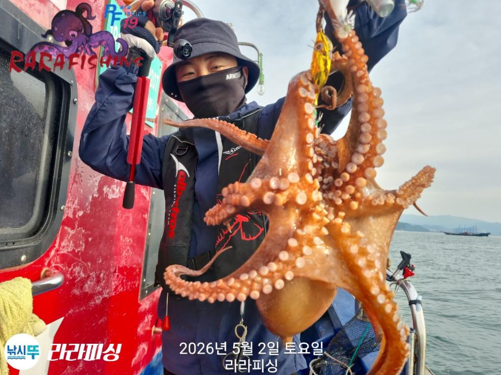 낚시뚜,낙지,돌문어,속천항(진해),라라피싱,낚시뚜14