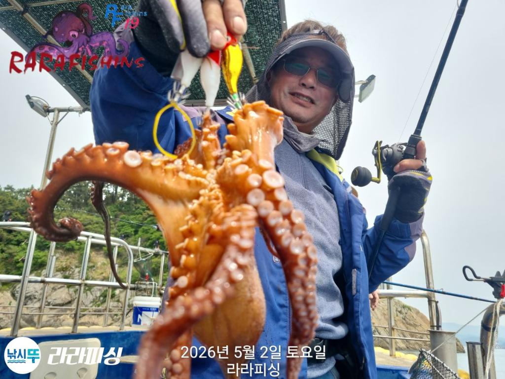 낚시뚜,호래기,돌문어,속천항(진해),라라피싱,낚시뚜13