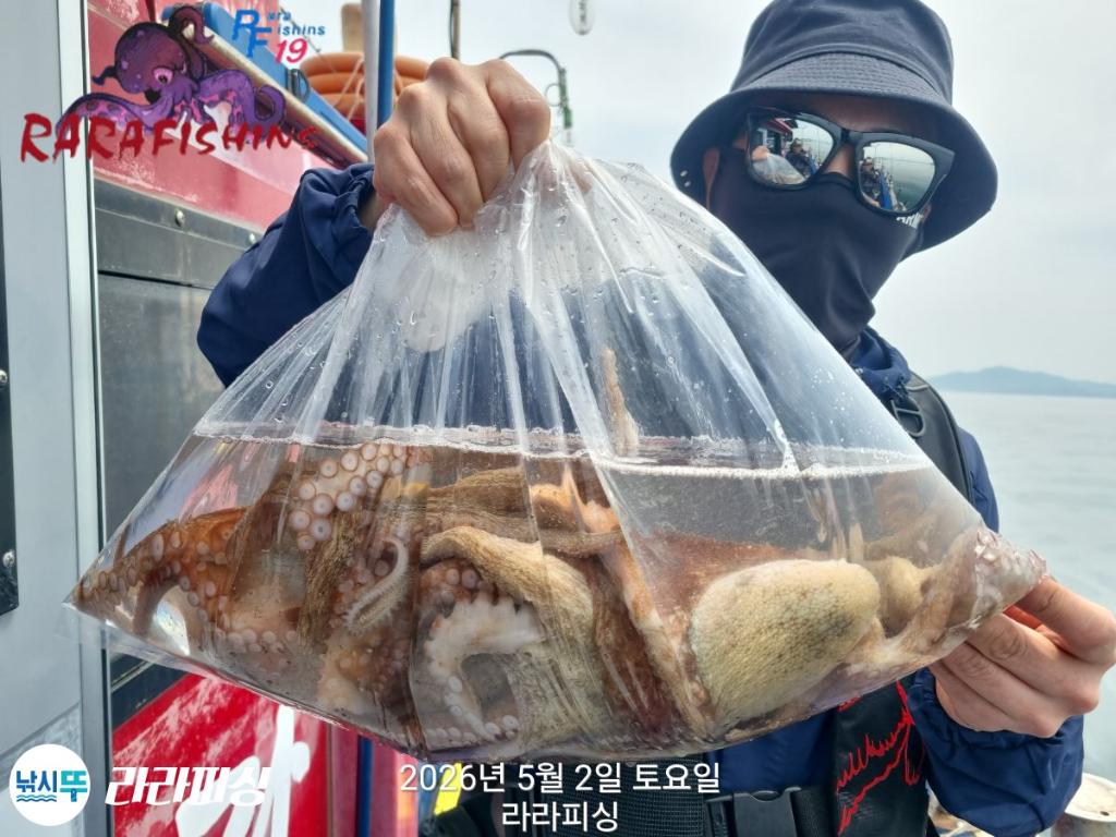낚시뚜,호래기,돌문어,속천항(진해),라라피싱,낚시뚜12