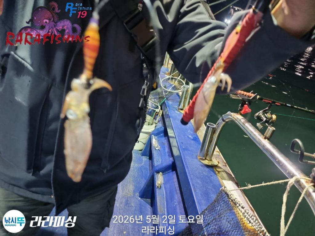 낚시뚜,호래기,속천항(진해),라라피싱,낚시뚜7