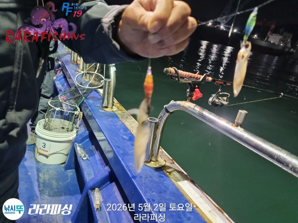 낚시뚜,호래기,속천항(진해),라라피싱,낚시뚜6