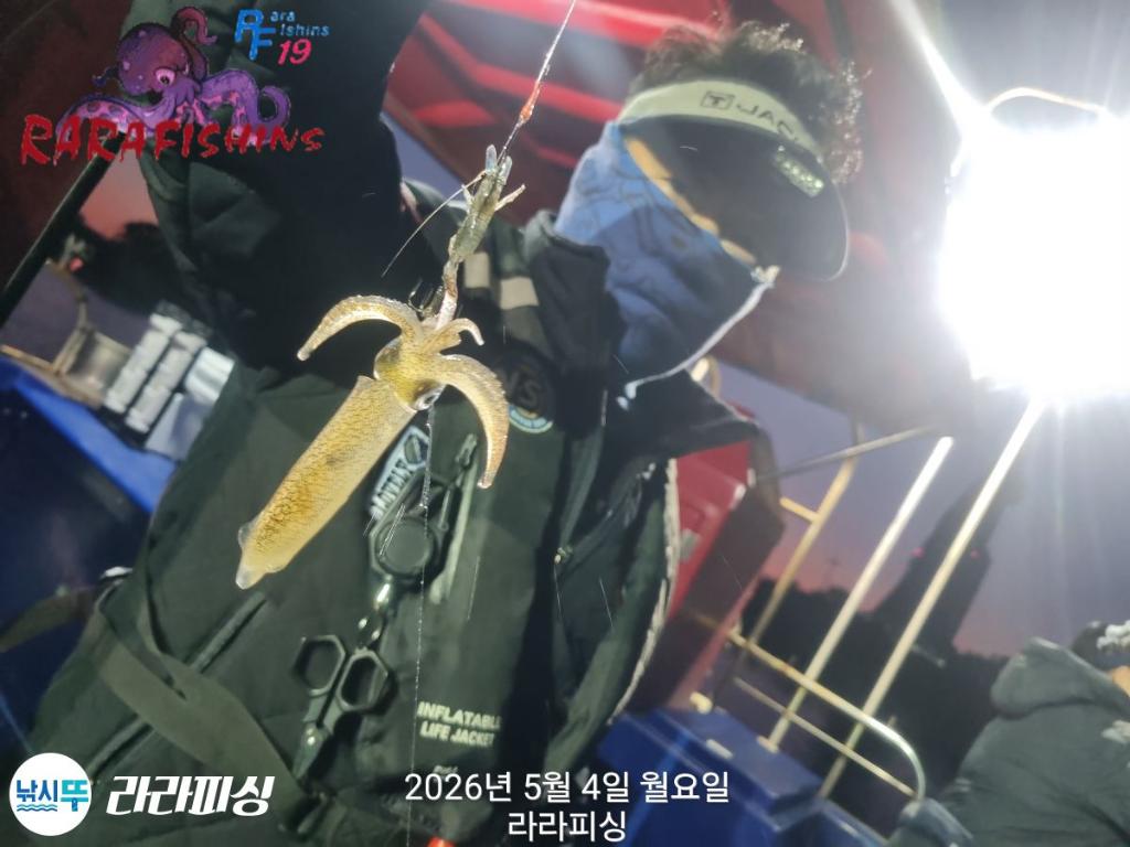 낚시뚜,호래기,속천항(진해),라라피싱,낚시뚜16