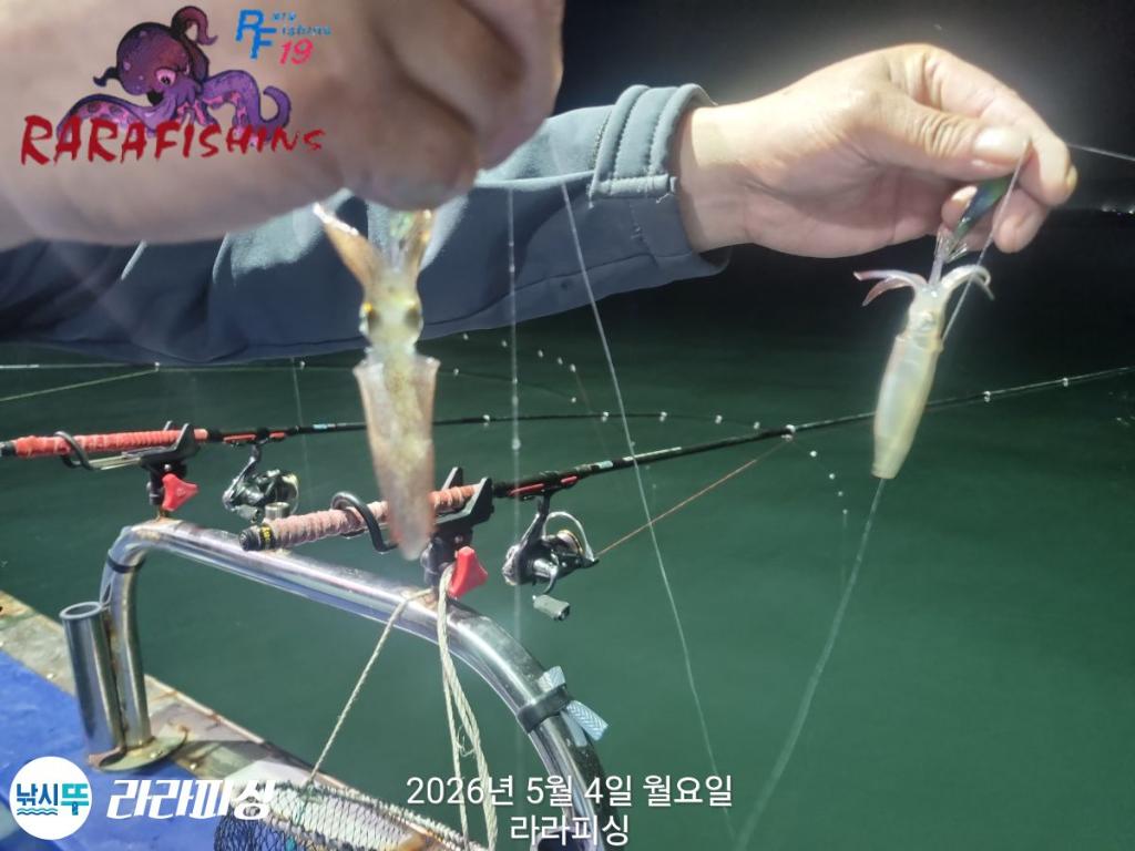 낚시뚜,호래기,속천항(진해),라라피싱,낚시뚜13