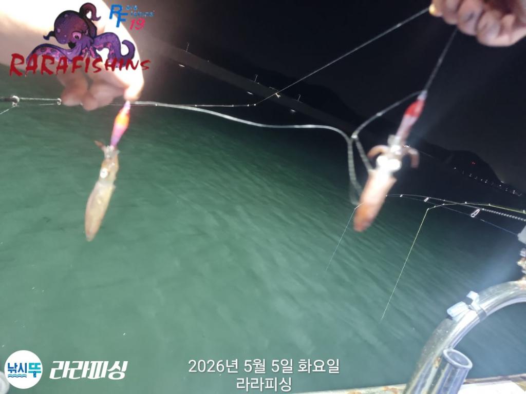낚시뚜,호래기,속천항(진해),라라피싱,낚시뚜6
