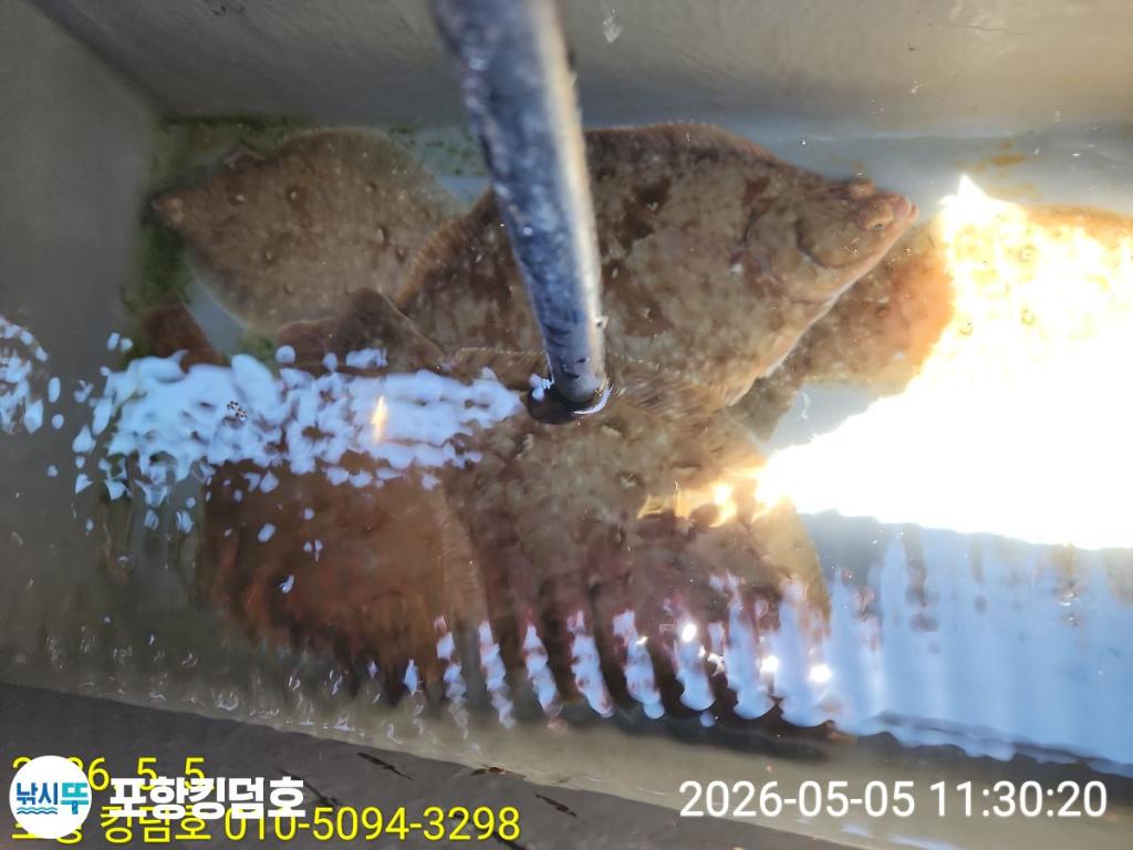 낚시뚜,도다리,영일만항,포항 킹덤호,낚시뚜49
