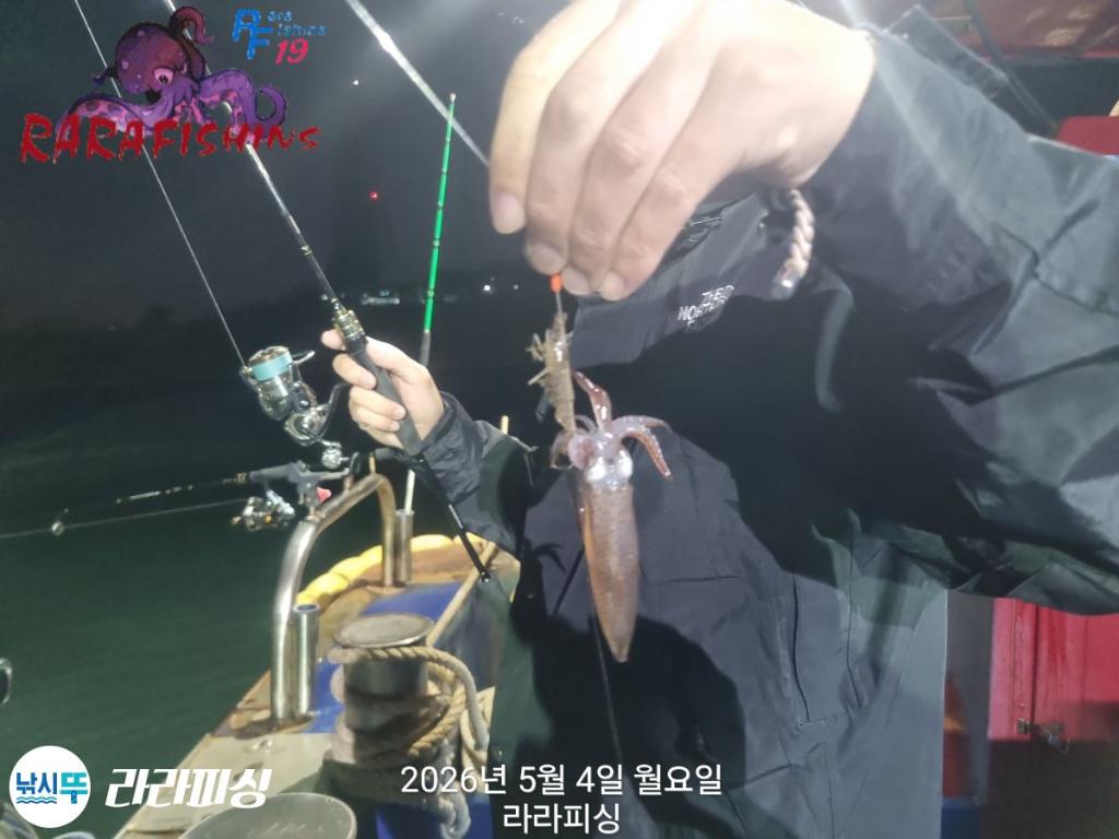 낚시뚜,호래기,속천항(진해),라라피싱,낚시뚜12