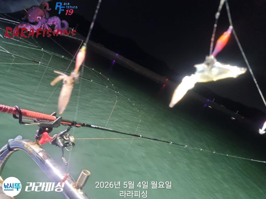 낚시뚜,호래기,속천항(진해),라라피싱,낚시뚜6