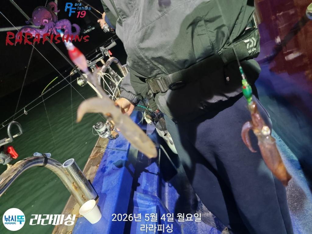 낚시뚜,호래기,속천항(진해),라라피싱,낚시뚜5