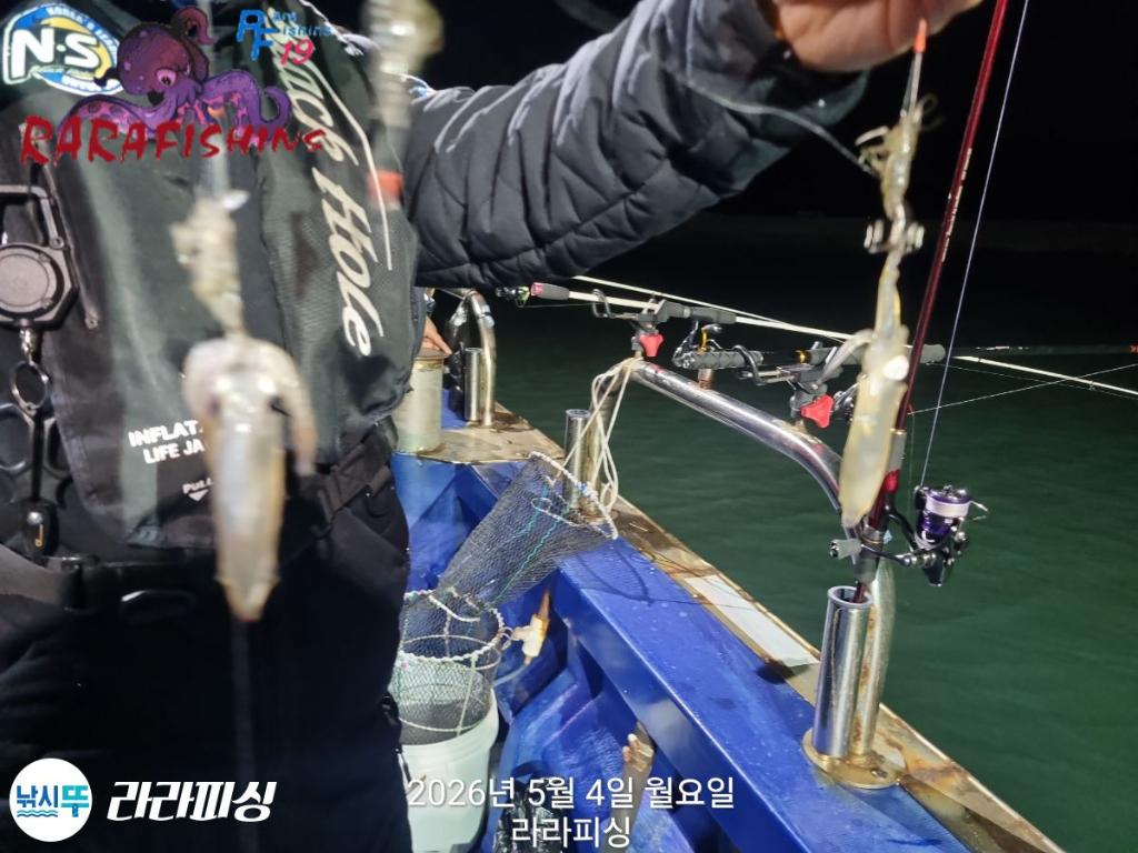낚시뚜,호래기,속천항(진해),라라피싱,낚시뚜4