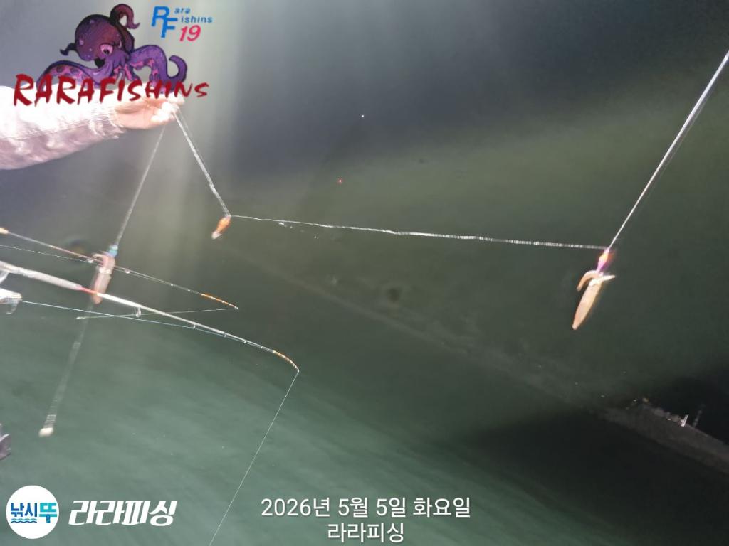 낚시뚜,호래기,속천항(진해),라라피싱,낚시뚜10