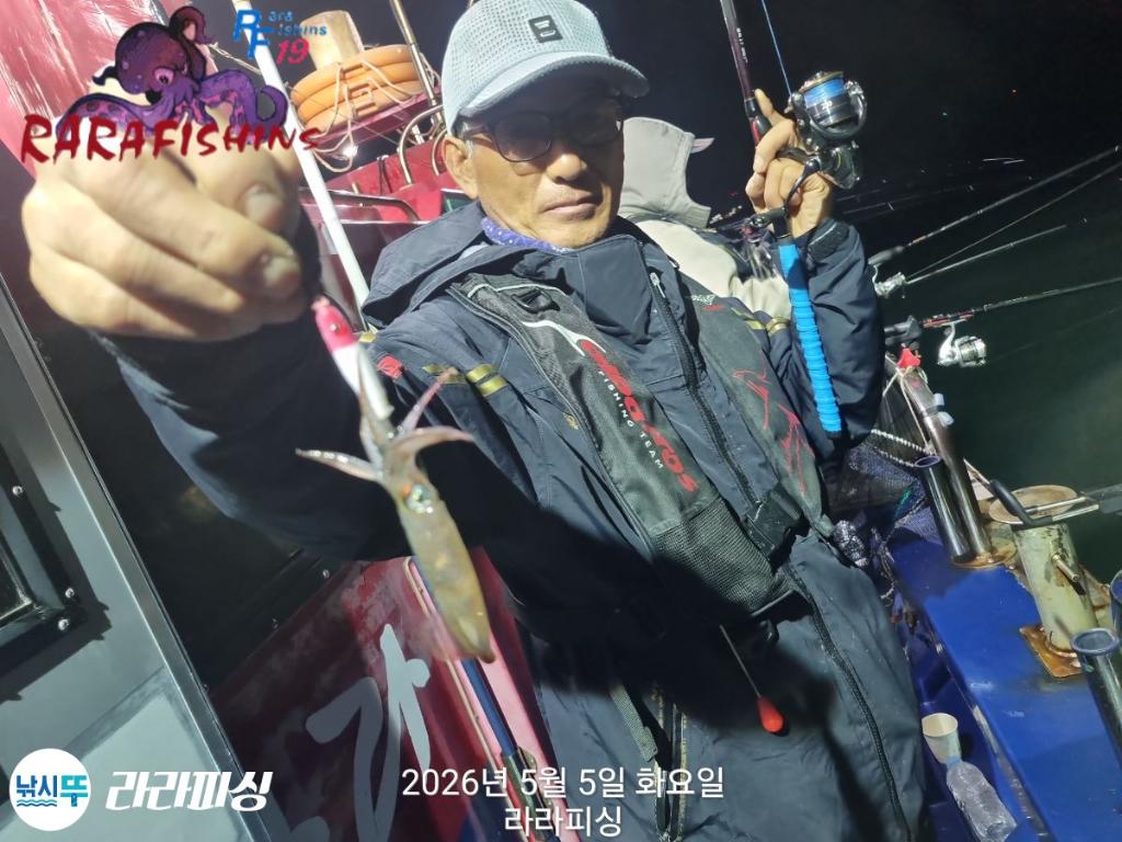낚시뚜,호래기,돌문어,속천항(진해),라라피싱,낚시뚜5