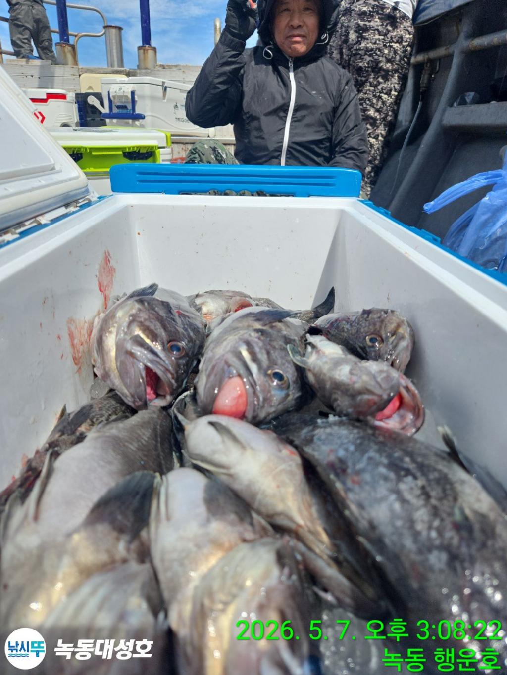 낚시뚜,우럭,열기,녹동항,녹동대성호,낚시뚜23