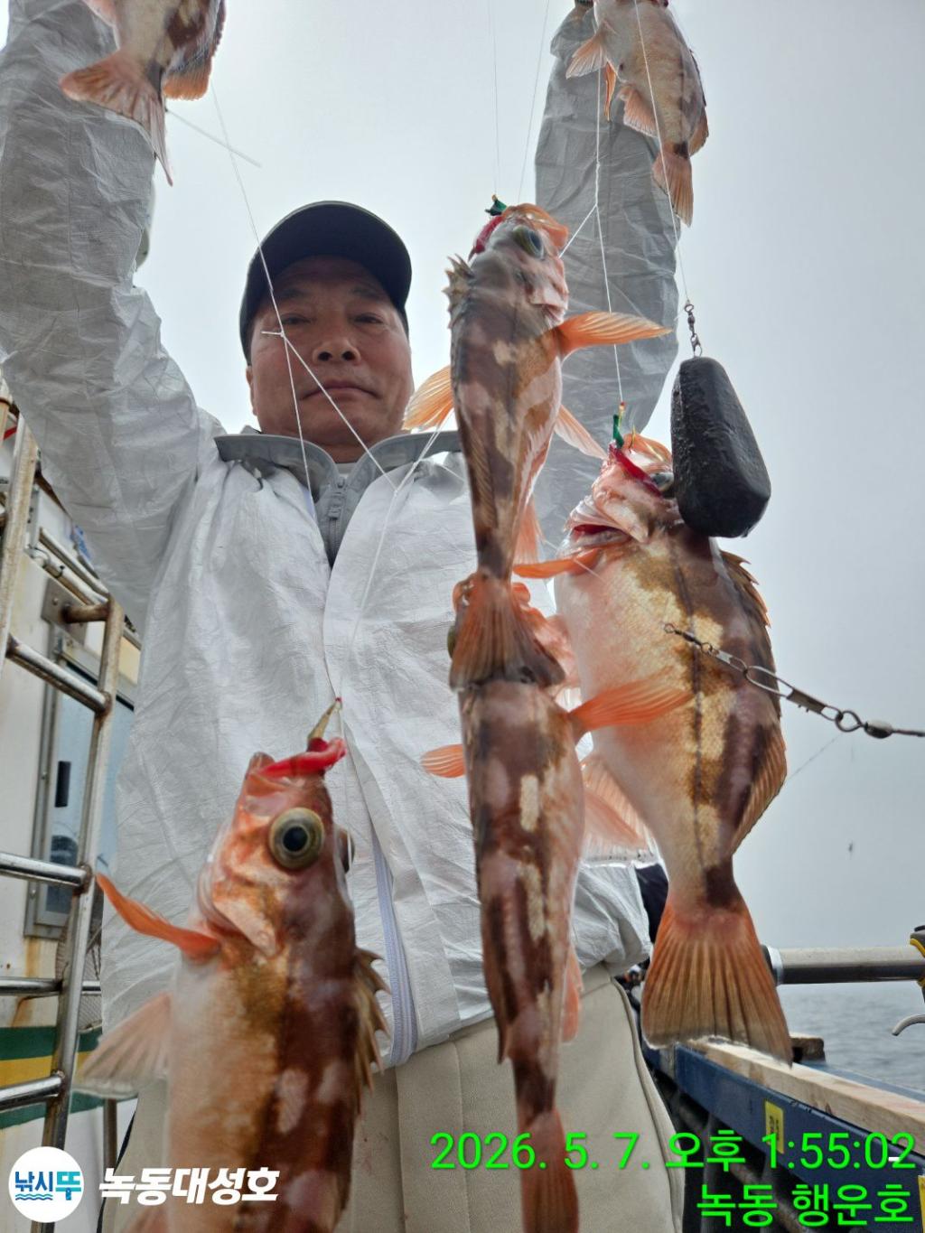 낚시뚜,우럭,열기,녹동항,녹동대성호,낚시뚜17
